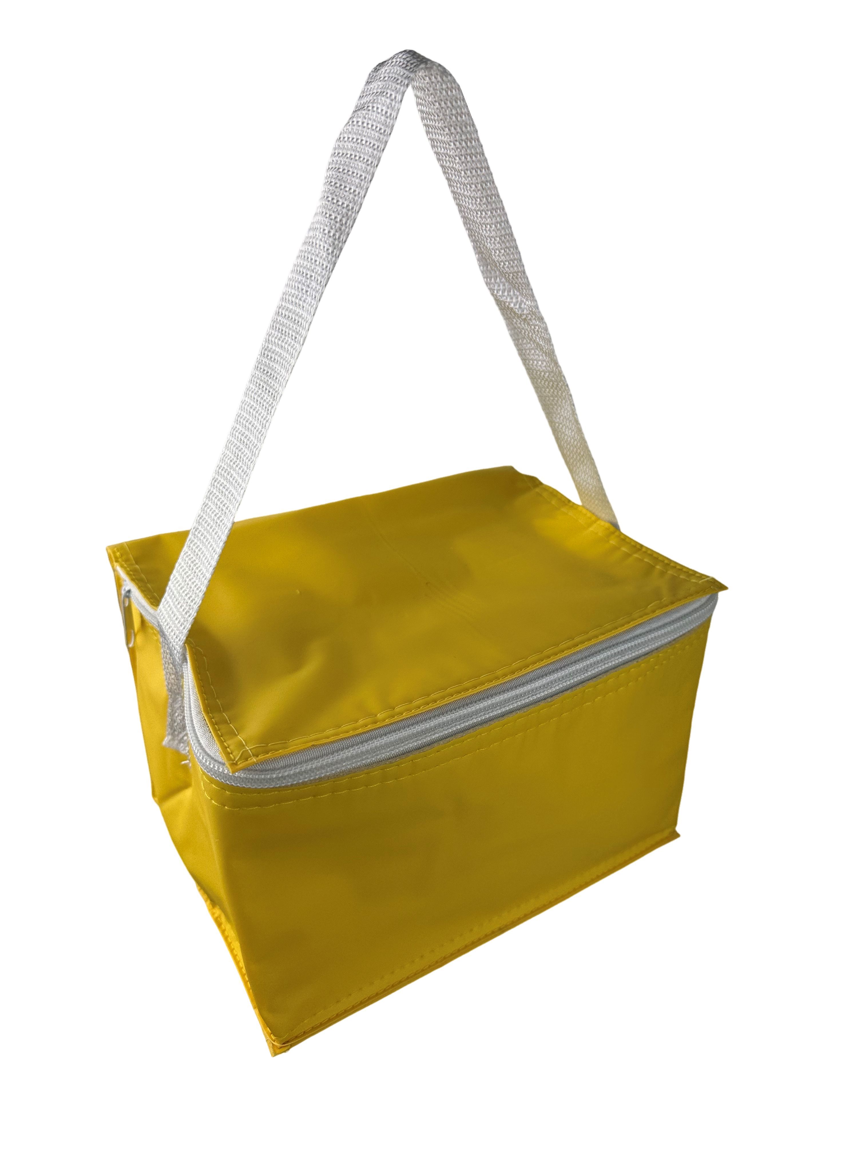 PVC Cooler Bag