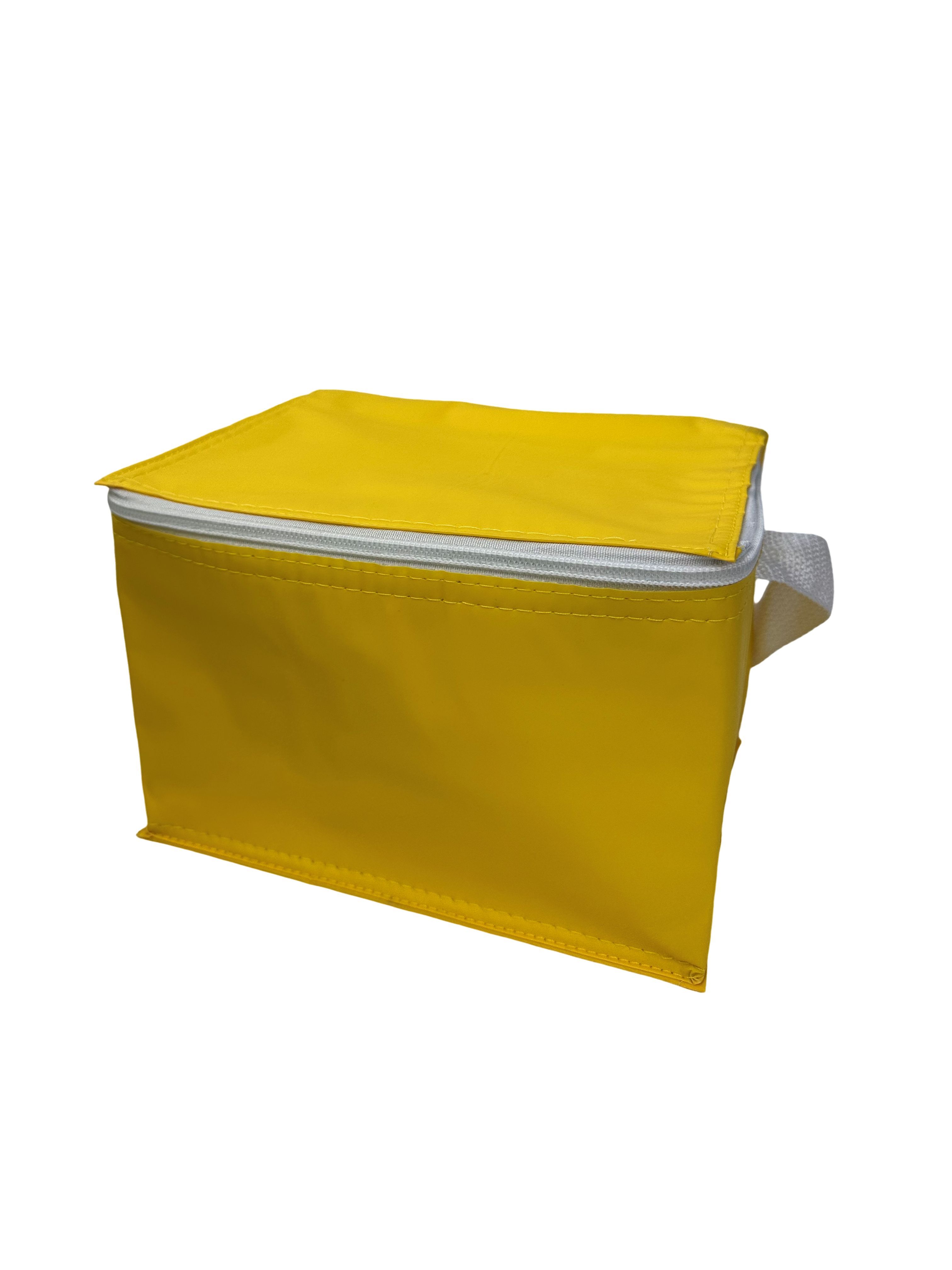 PVC Cooler Bag