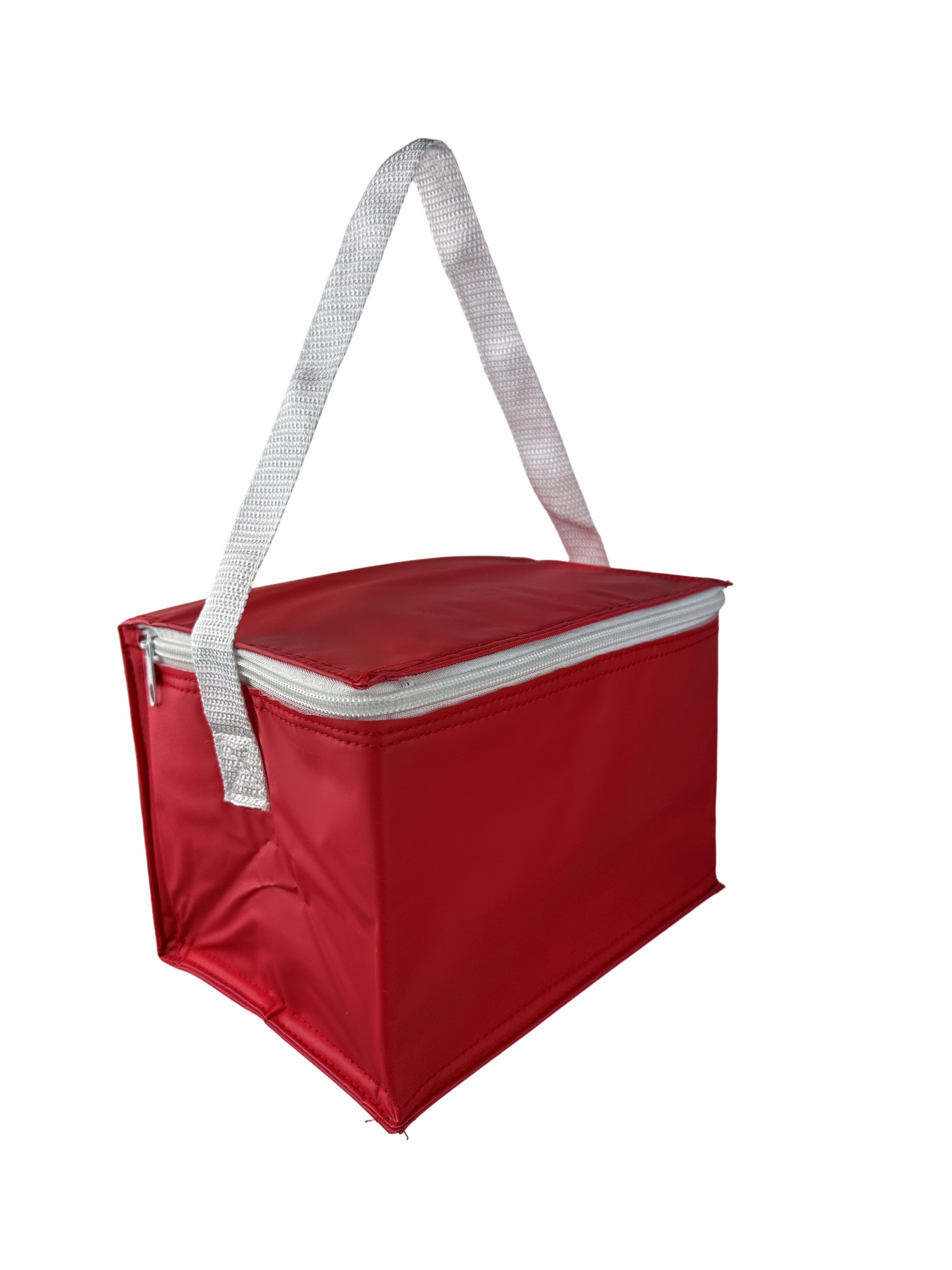 PVC Cooler Bag