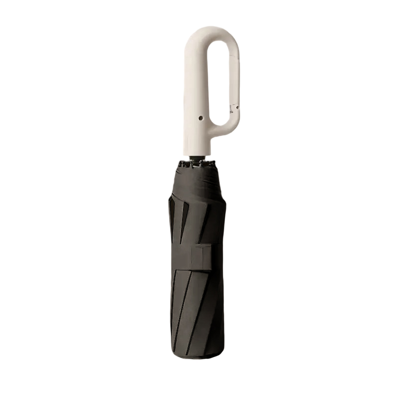 Colorblock Hook Umbrella