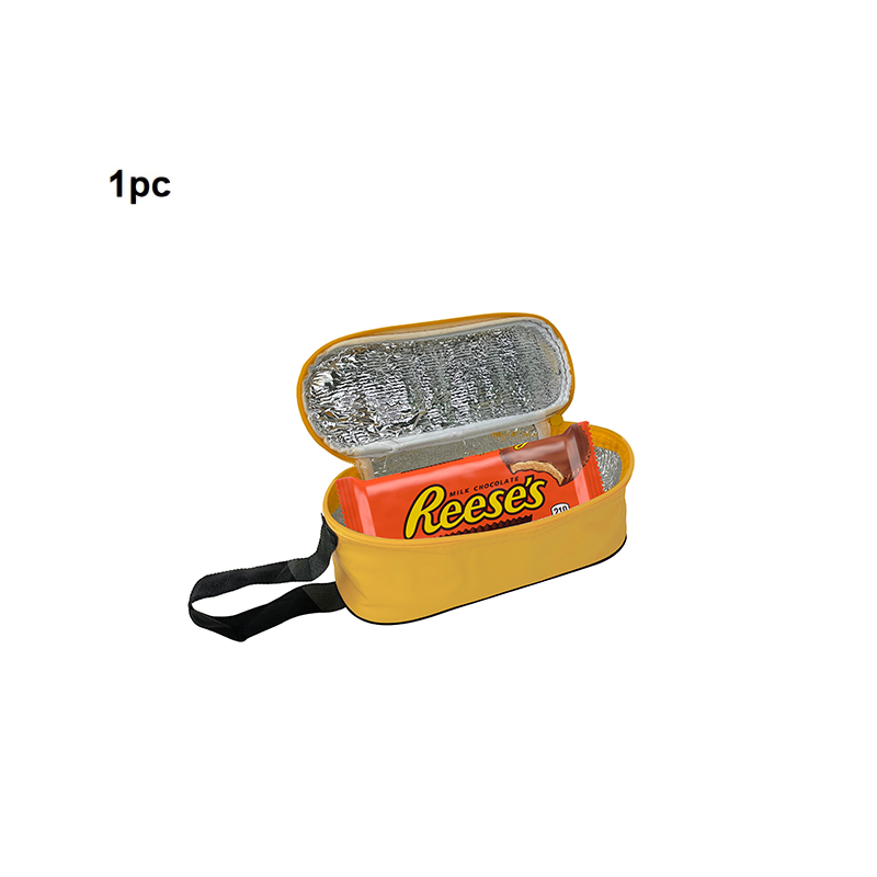 Insulated lunch bag