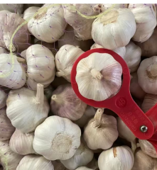 NORMAL WHITE GARLIC--Antibacterial and anti-inflammatory, reduce colds