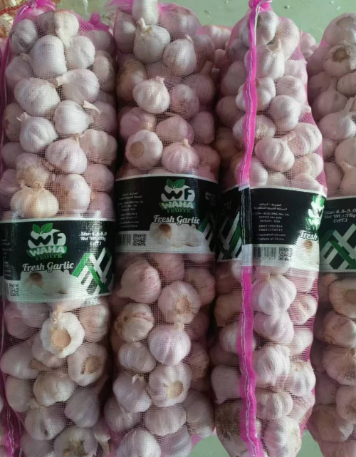 NORMAL WHITE GARLIC--Antibacterial and anti-inflammatory, reduce colds