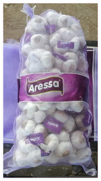 Normal white bearded garlic