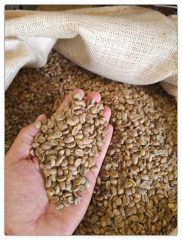 ETHIOPIAN ARABICA GREEN COFFEE
