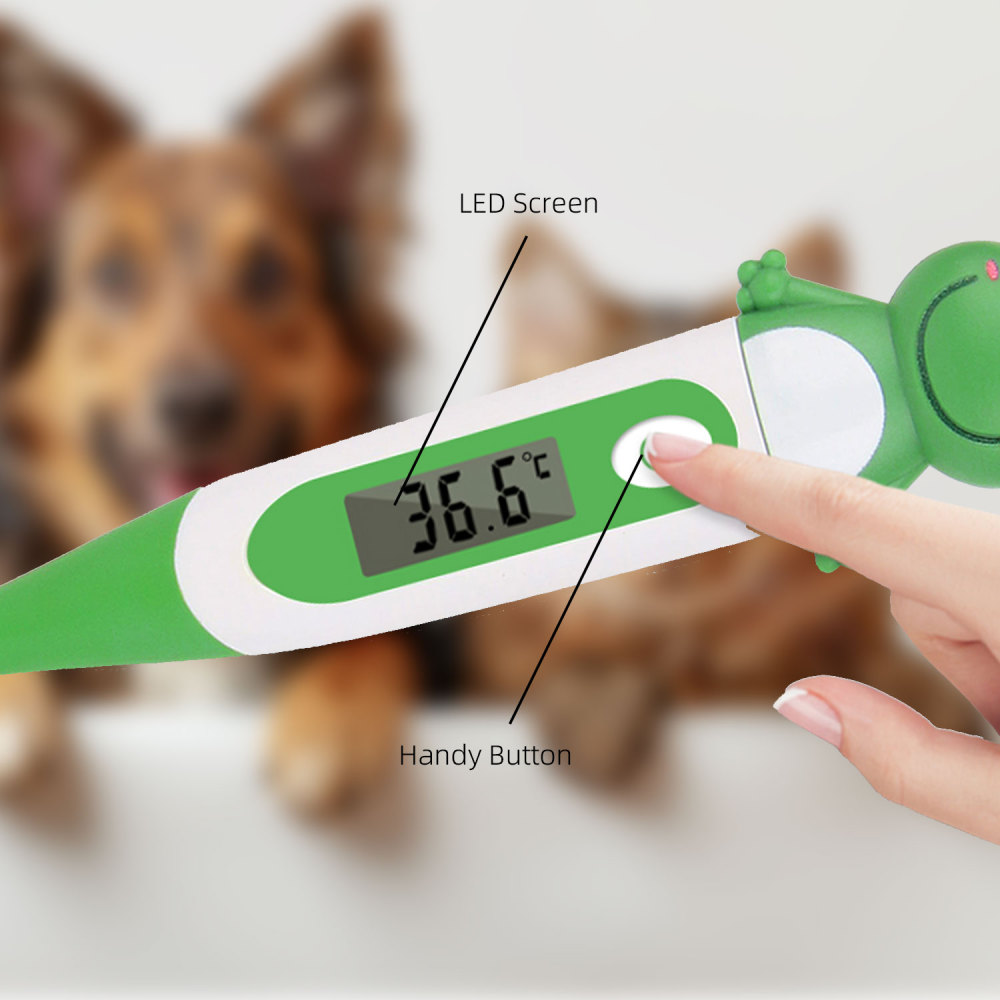 Veterinary