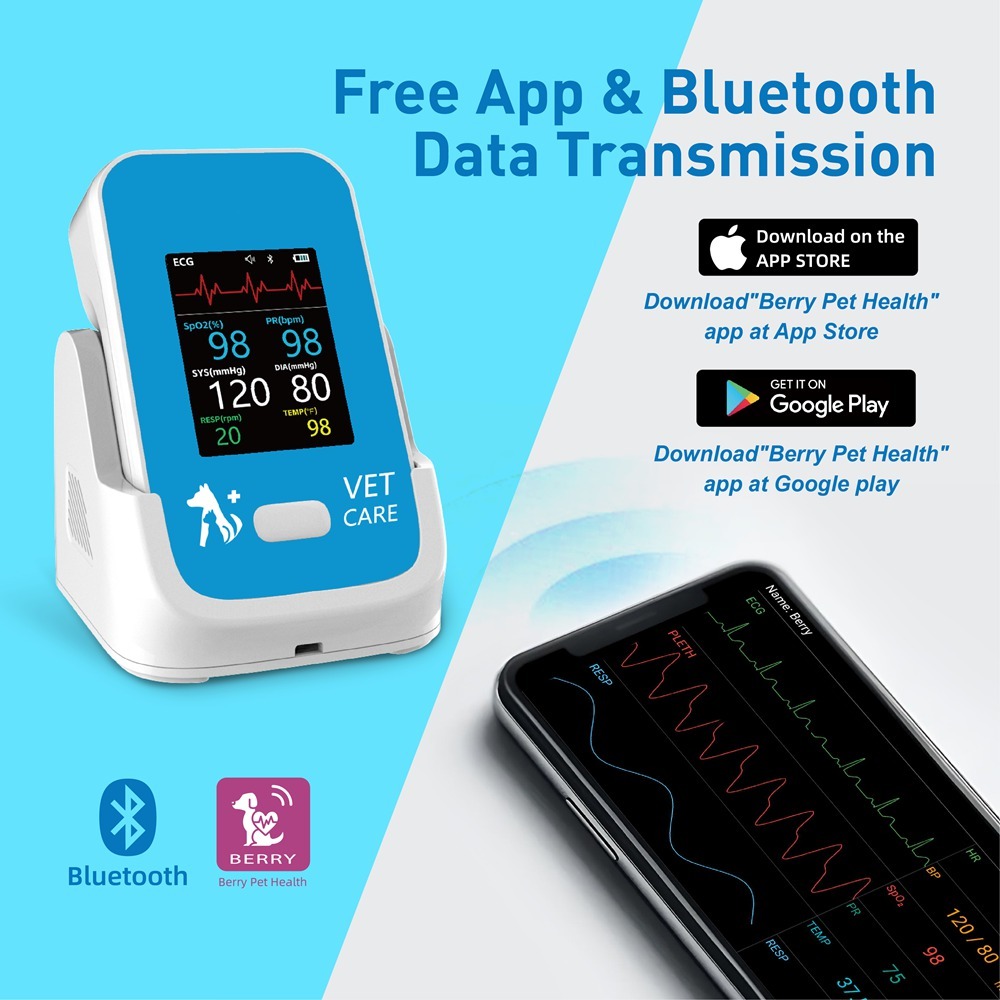 Veterinary Monitor for Cat Dog 6 Parameters AM6200 Vet Mini Monitor Multi-parameter Clinic Vet Hospital Use
