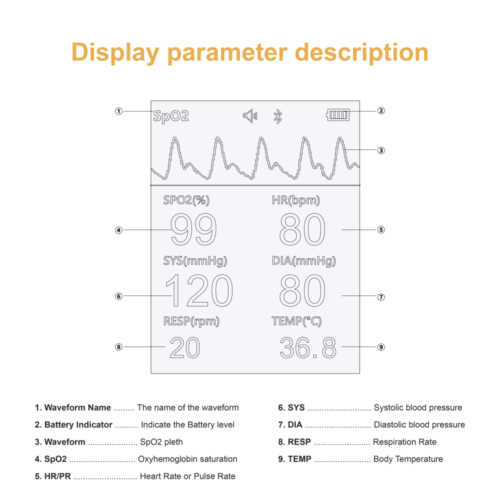 Handheld Vital Sign Patient Monitor with 6 Parameters -  PM6100