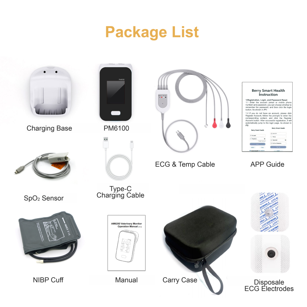 Handheld Vital Sign Patient Monitor with 6 Parameters -  PM6100