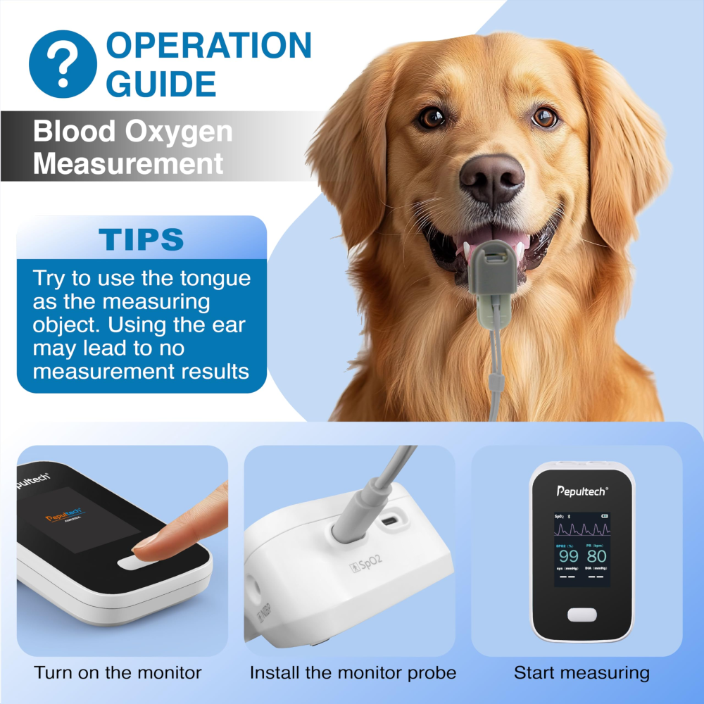 Operation guide for veterinary SpO2 measurement, pet tongue clip probe usage steps, turn on monitor install sensor start testing dog cat blood oxygen level