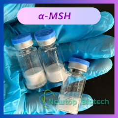 KPV  (α-MSH)