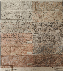 Soft Stone