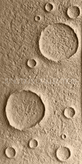 Pu Stone