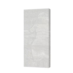 Transparent Cement