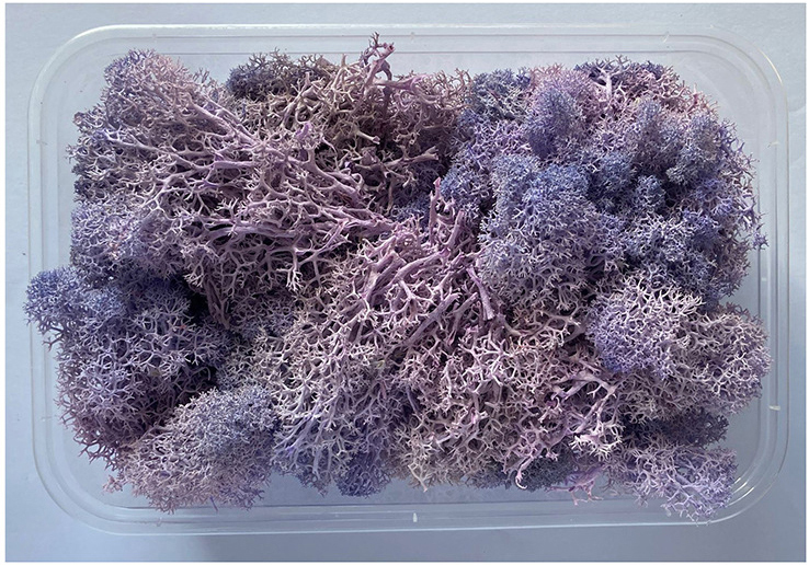 Immortal Moss