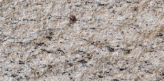 Soft Stone