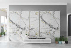 Carbon Crystal Wall Panel