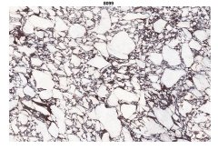 Carbon Crystal Wall Panel
