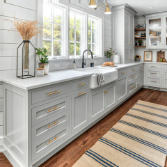 Best Classic Designs Kitchen Cabinet European Modern Simple Lacquer Kitchen Cabinets for Your Whole Kitchen