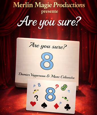 Are You Sure by Damien Vappereau and Marc Celiandre