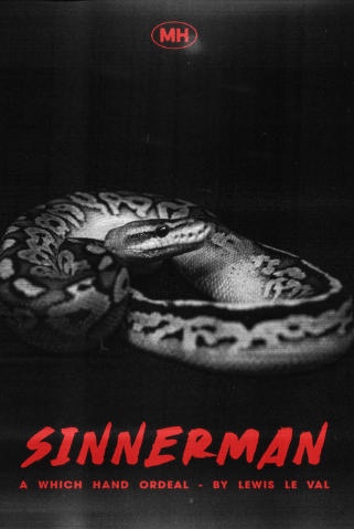 Sinnerman By Lewis Le Val