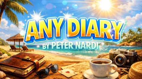 Peter Nardi - Any Diary