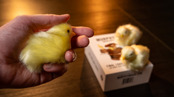THE FINAL LOAD (Baby Chicks) by Murphy's Magic