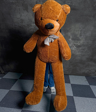 Teddy Bear Appearance by MS Magic