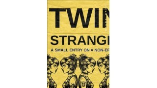 Twin Stranger By Jake Keane