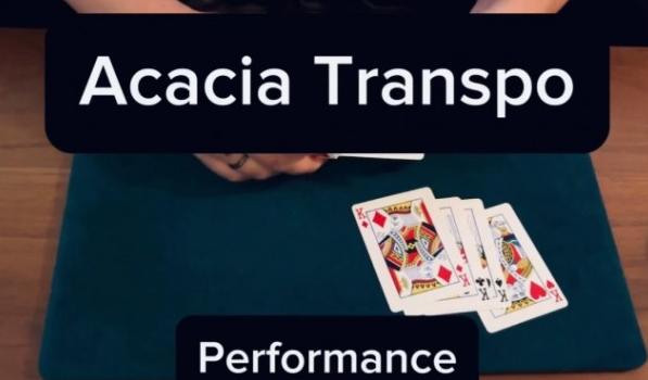 Acacia Transpo by Keito K