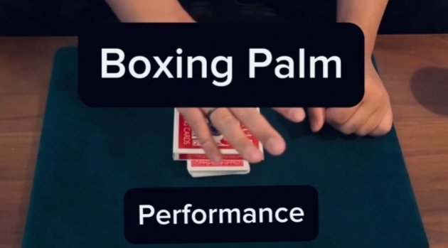 Boxing Palm by Keito K