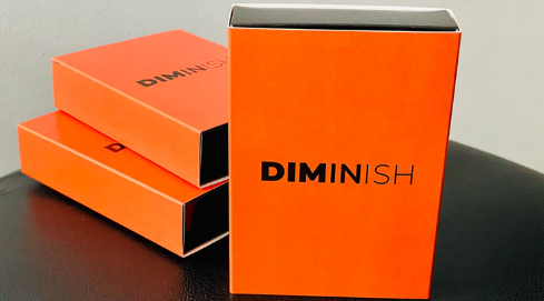 Diminish by Damian Surr