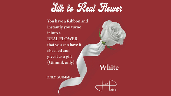 Silk to Real Flower by Juan Pablo