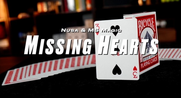 Missing Hearts by Nusa