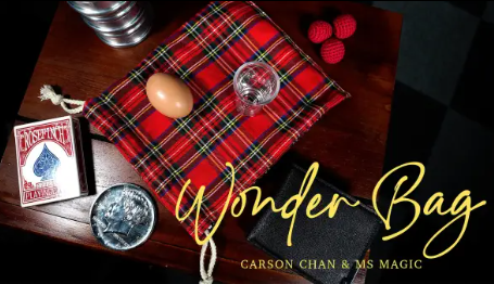 Wonder Bag - Evolution of Egg Bag by Carson Chan
