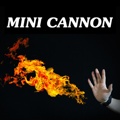 Mini Cannon (Remote Control)