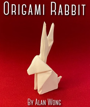 Origami Rabbit by Alan Wong