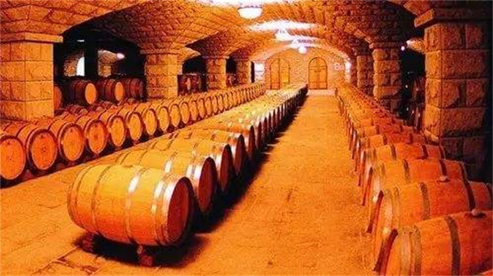 Wine cellar featuring Mellower Series lighting, enhancing the aesthetics of the wine collection