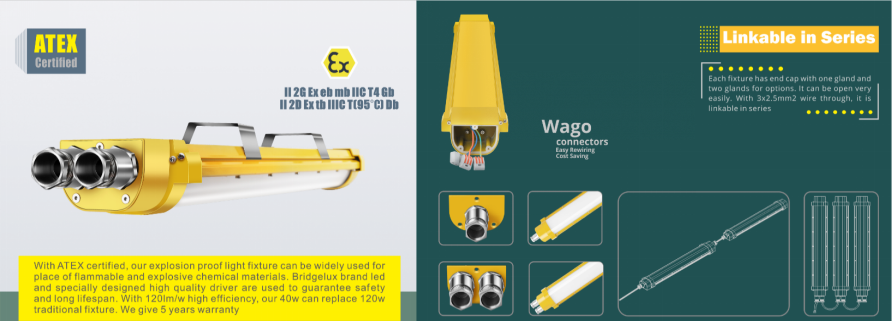 Expert Series Explosion Proof Led Light