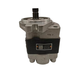 Hefei Jiyuansuiyi Hydraulic Gear pump CBHZ-F32-ALΦL