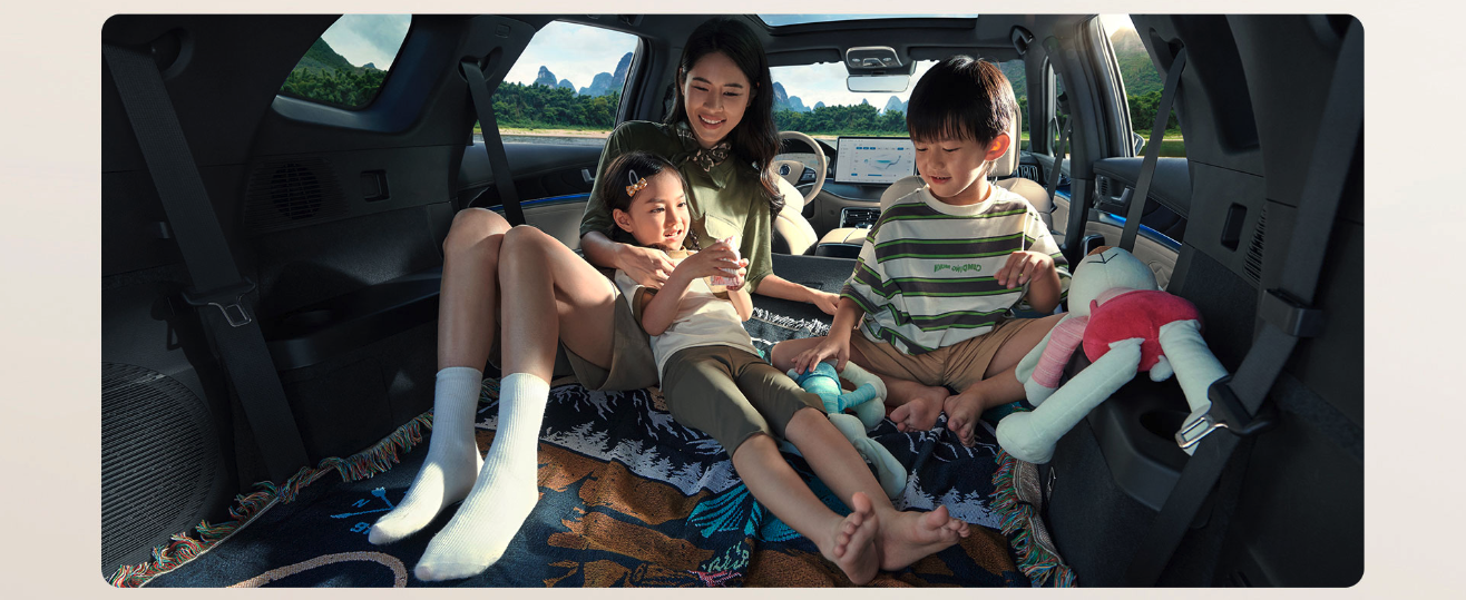 BYD Tang DM-i Honor Edition,chincarcar