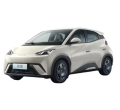 BYD Seagull Honor Edition,chincarcar