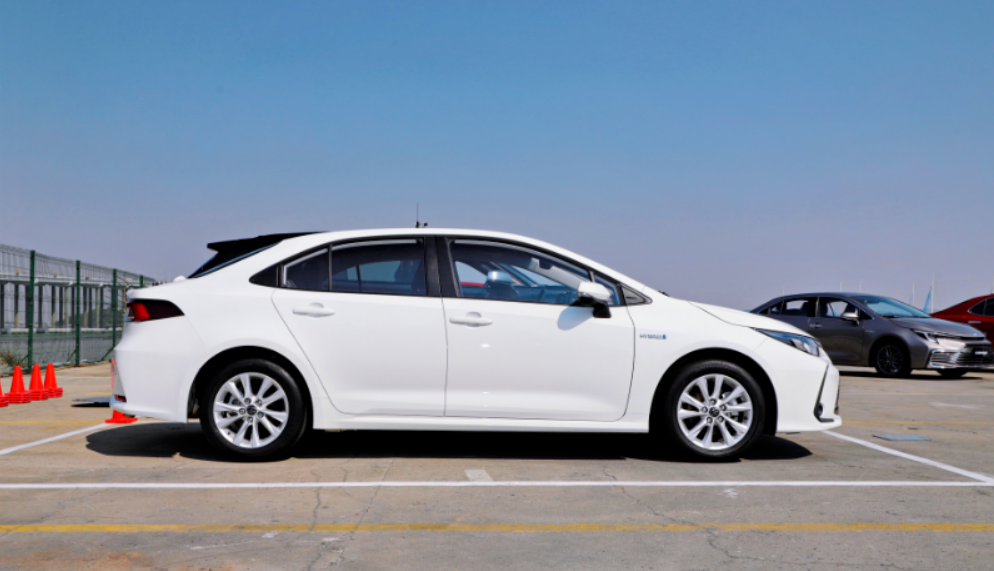 Toyota Corolla,chincarcar