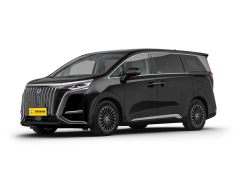Denza D9 EV,chincarcar