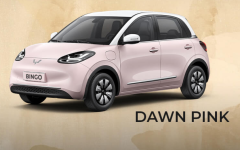 Wuling Bingo EV,chincarcar