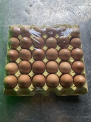 hot perforated POF film,hot perforated POF film,stablepackgroup