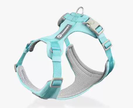 Dog harness