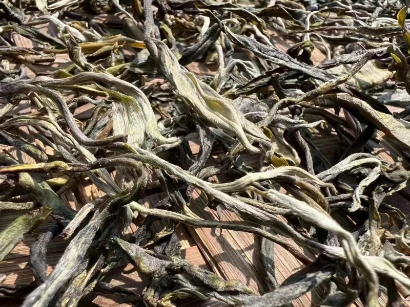 Old 2023 Panzang Koshu Tea