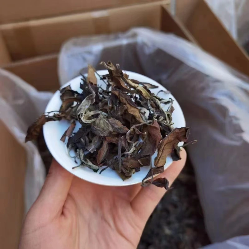The 2024 spring, the ancient trees, the white tea
