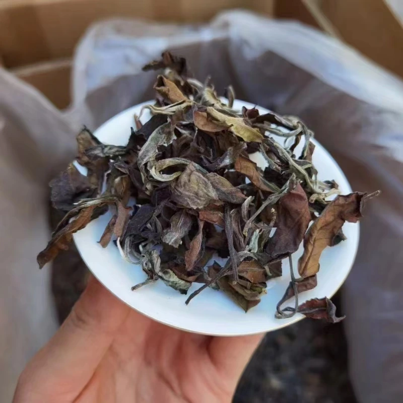 The 2024 spring, the ancient trees, the white tea